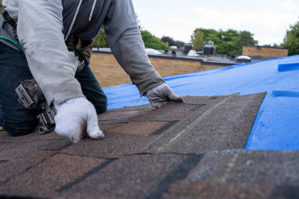 Quick and Trustworthy Emergency Roof Repair Services in Berkeley, CA